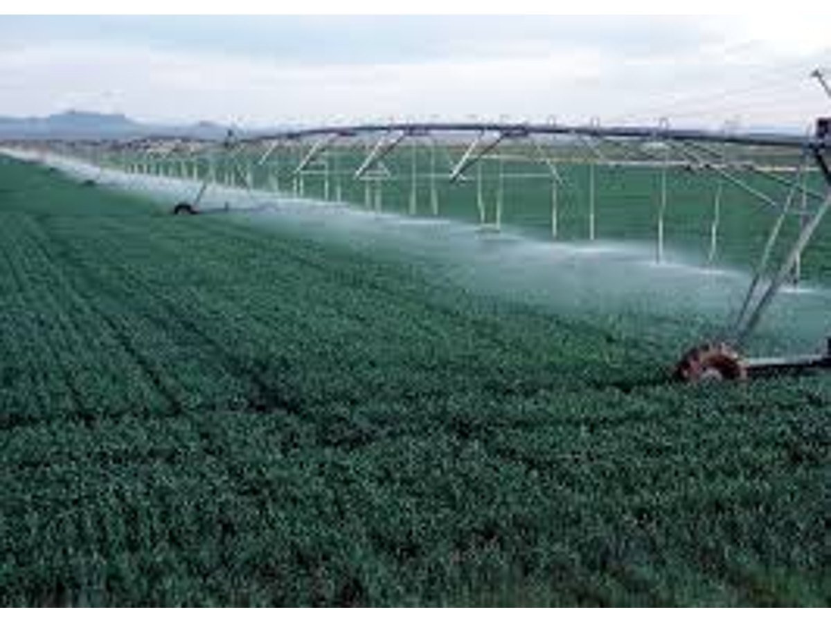 Agricultural Products — image 4
