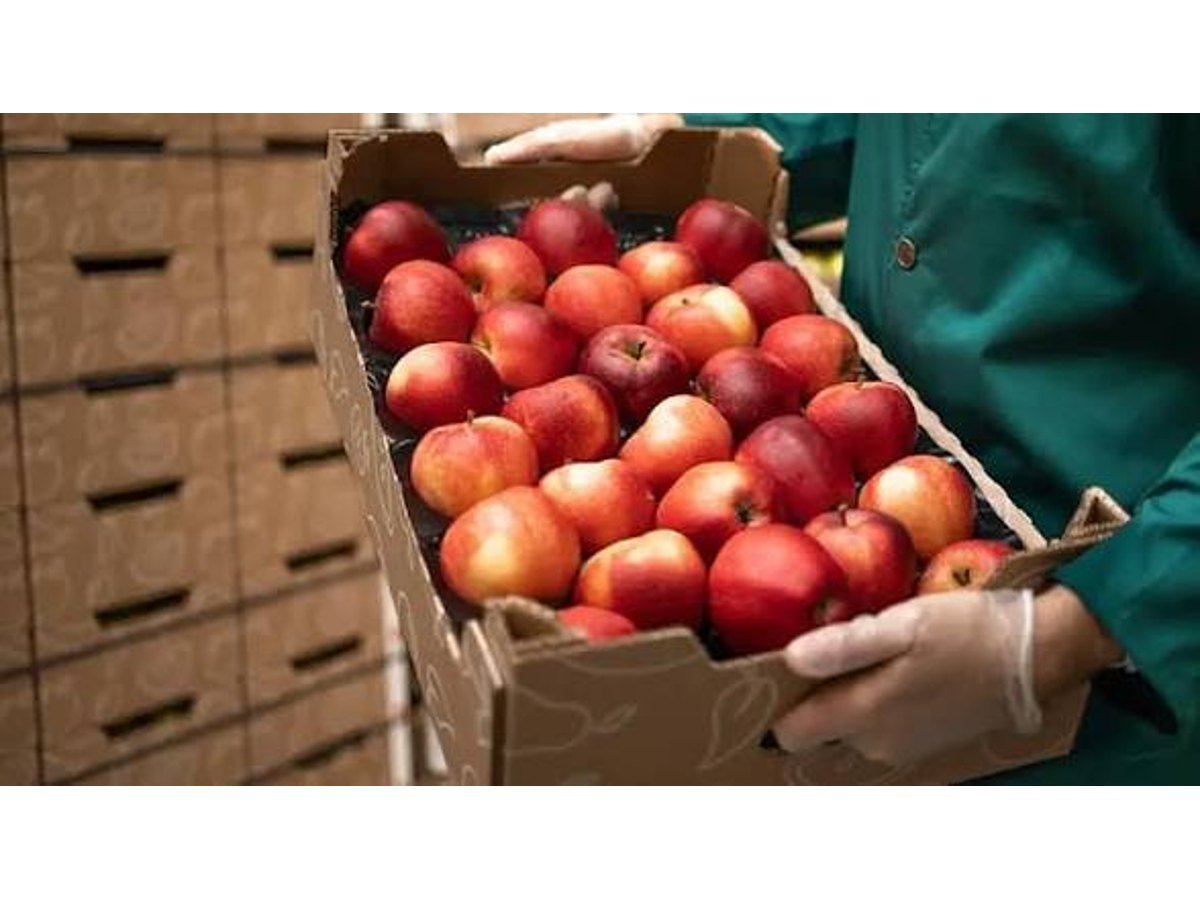 Fresh & Processed Agro Products — image 3