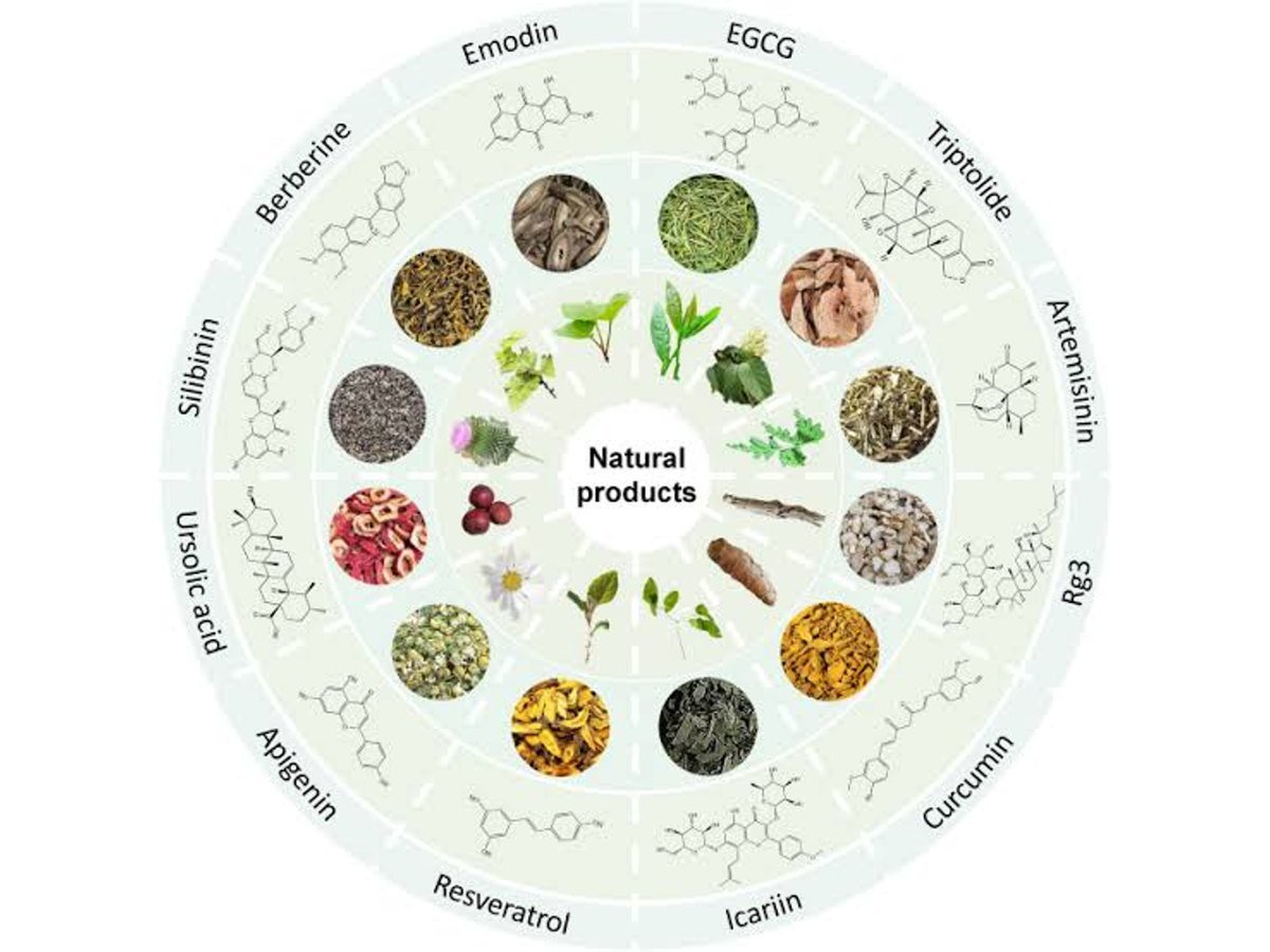 Herbal & Natural Products — image 4